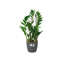 brussels rund rollen 47cm anthrazit